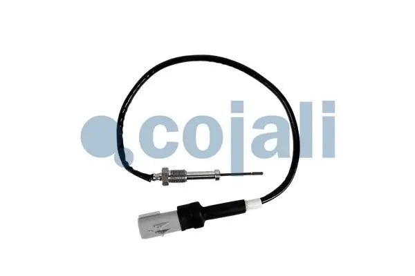 Exhaust Temperature Sensor - Rear (White)