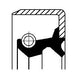 PTIO Oil Seal
