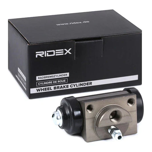 Rear Lower Bearing