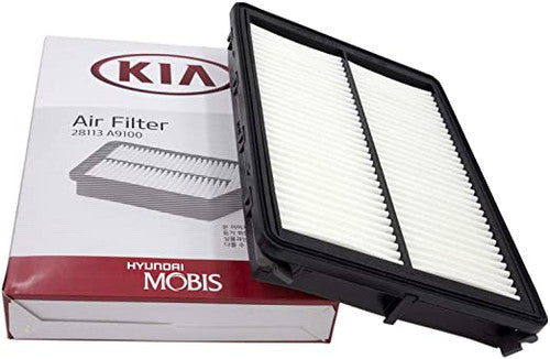 KIA X2J11131110 - Alternative air filters